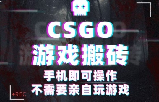 CSGO游戏挂G捡漏，单日扫货5张+，年底小高峰上车可吃肉，手机即可操作，兼职副业创业网创【揭秘】-创新社-资源网-最新项目分享网站