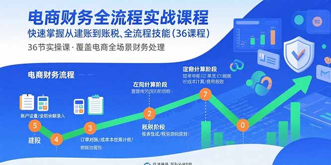 电商财务全流程实战课程：快速掌握从建账到报税的全流程技能(36节课-创新社-资源网-最新项目分享网站