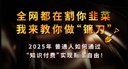 知识付费如何做到月入过W+，2025我来教你做“镰刀”【揭秘】-创新社-资源网-最新项目分享网站