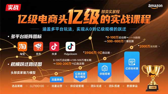 亿级电商头部卖家的实战课程：涵盖多平台玩法，实现从0到亿级规模的跃迁-创新社-资源网-最新项目分享网站