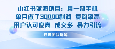 小红书蓝海项目，一部手机单月做了3W利润，小白也能月入过1W用户认可度高成交多-创新社-资源网-最新项目分享网站