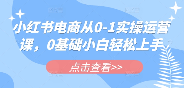 小红书电商从0-1实操运营课，0基础小白轻松上手-创新社-资源网-最新项目分享网站