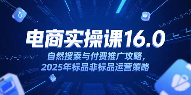 淘宝电商运营课16.0，自然搜索与付费推广攻略，2025年标品非标品运营策略-创新社-资源网-最新项目分享网站