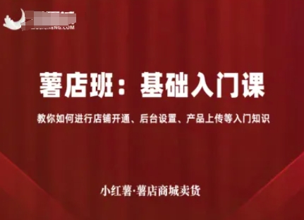 小红薯薯店商城卖货，基础入门课，教你如何进行店铺开通、后台设置、产品上传等入门知识-创新社-资源网-最新项目分享网站