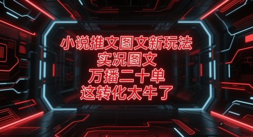 小说推文图文新玩法，实况图文，万播二十单，这转化太牛了！-创新社-资源网-最新项目分享网站