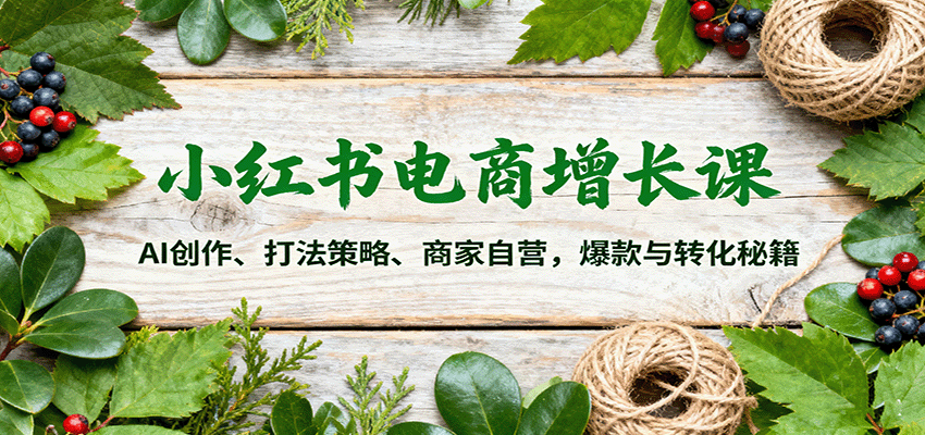 小红书电商增长课:AI创作、打法策略、商家自营,爆款与转化秘籍-创新社-资源网-最新项目分享网站