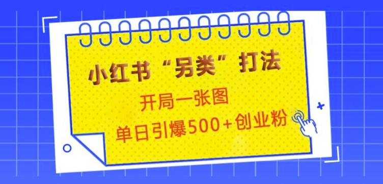 小红书“另类”打法，开局一张图，单日引爆500+精准创业粉【揭秘】-创新社-资源网-最新项目分享网站