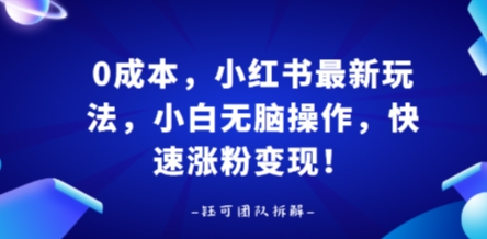 0成本，小红书最新玩法，小白无脑操作，快速涨粉变现-创新社-资源网-最新项目分享网站