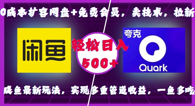 0成本扩容网盘+免费会员，卖技术，拉新，咸鱼最新玩法，实现多重管道收益，一鱼多吃，轻松日入500+-创新社-资源网-最新项目分享网站