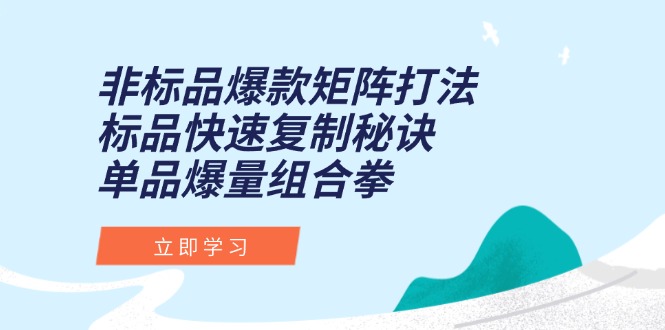 非标品爆款矩阵打法，标品快速复制秘诀，单品爆量组合拳-创新社-资源网-最新项目分享网站