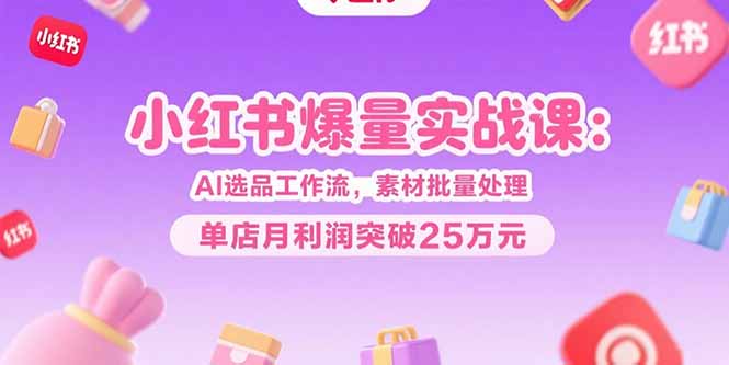 小红书爆量实战课：AI选品工作流，素材批量处理，单店月利润突破25万元-创新社-资源网-最新项目分享网站