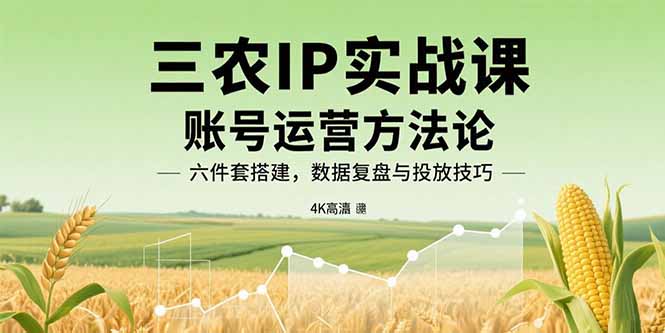 三农IP实战课：账号运营方法论，六件套搭建，数据复盘与投放技巧-创新社-资源网-最新项目分享网站