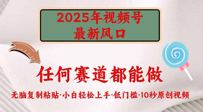 2025年视频号新风口，低门槛只需要无脑执行-创新社-资源网-最新项目分享网站