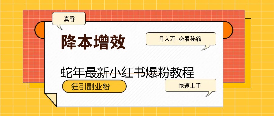 蛇年最新小红书爆粉教程，狂引副业粉，月入万+必看-创新社-资源网-最新项目分享网站