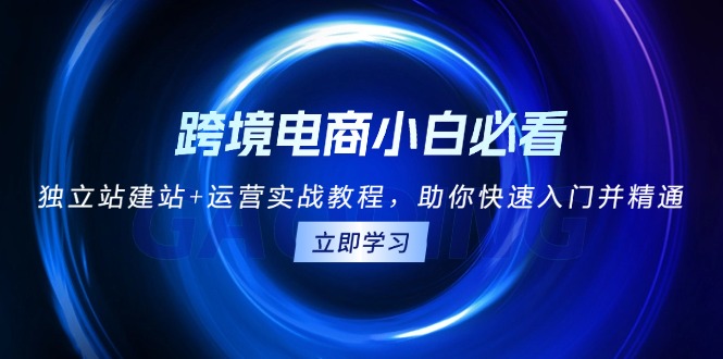 跨境电商小白必看！独立站建站+运营实战教程，助你快速入门并精通-创新社-资源网-最新项目分享网站