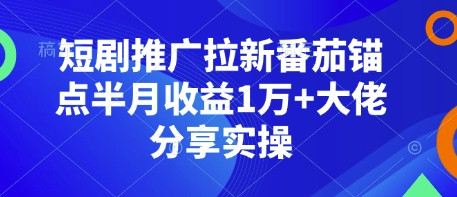 短剧推广拉新番茄锚点半月收益1万+大佬分享实操-创新社-资源网-最新项目分享网站