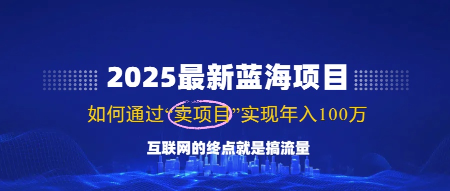 2025最新蓝海项目，零门槛轻松复制，月入10万+，新手也能操作！-创新社-资源网-最新项目分享网站