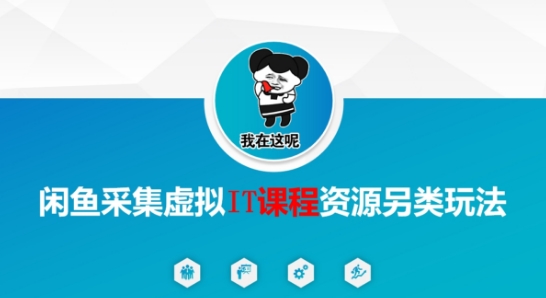 闲鱼采集虚拟IT课程资源另类玩法，干货满满-创新社-资源网-最新项目分享网站