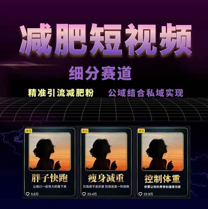 图片[2]-减肥短视频运营实战课：含素材制作、剪映教学，讲精准引流、变现设计与内容模板技巧-创新社-资源网-最新项目分享网站