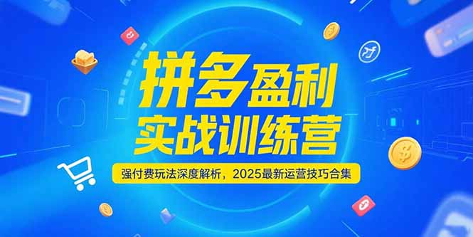 拼多多盈利实战训练营，强付费玩法深度解析，2025运营技巧合集-更新6月-创新社-资源网-最新项目分享网站