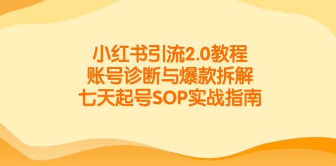 小红书引流2.0教程，账号诊断与爆款拆解，七天起号SOP实战指南-创新社-资源网-最新项目分享网站