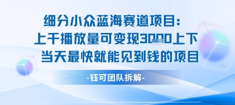 小众蓝海赛道项目：当天变现1k+适合新手操作 +适合长期玩-创新社-资源网-最新项目分享网站