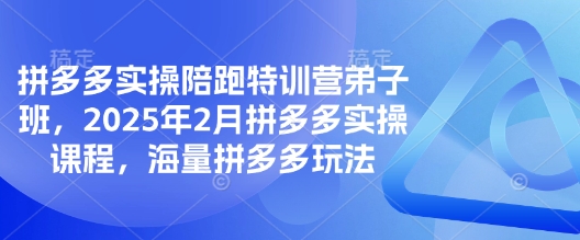 拼多多实操陪跑特训营弟子班，2025年2月拼多多实操课程，海量拼多多玩法-创新社-资源网-最新项目分享网站