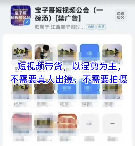 宝子哥头部团队短视频带货，以混剪为主，不需要真人出镜，不需要拍摄【更新】-创新社-资源网-最新项目分享网站