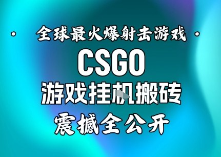 【年底大揭秘】基于全球最火爆的射击CSGO游戏挂G搬砖，日入5张+，震撼公开-创新社-资源网-最新项目分享网站
