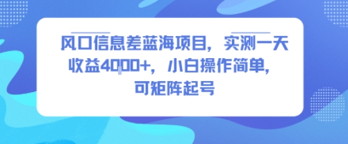 风口信息差蓝海项目，实测一天收益4k+，小白操作简单，可矩阵起号-创新社-资源网-最新项目分享网站