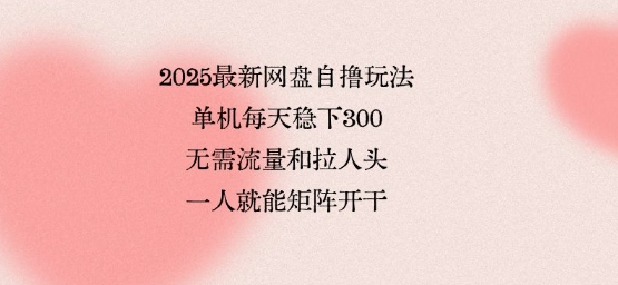 2025最新网盘自撸玩法，单机每天稳下3张，无需流量和拉人头，一个人就可轻松矩阵，全网独一份【揭秘】-创新社-资源网-最新项目分享网站