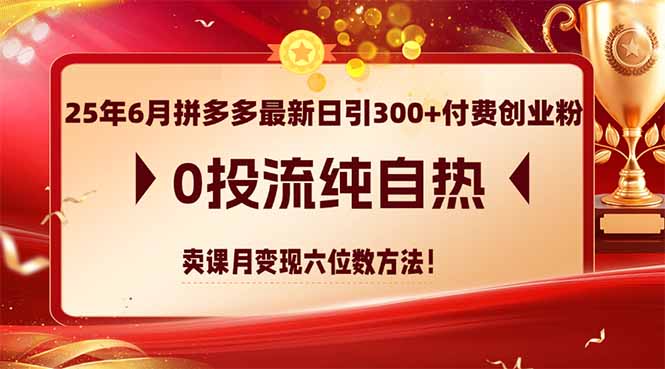 25年6月拼多多最新日引300+付费创业粉，0投流纯自热 卖课月变现六位数方法-创新社-资源网-最新项目分享网站