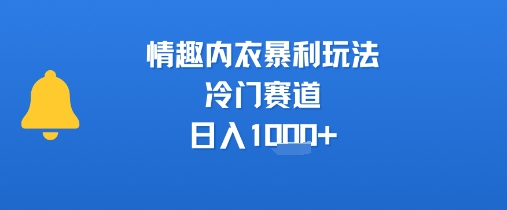 情趣内衣暴利玩法，冷门赛道，日入1k+-创新社-资源网-最新项目分享网站