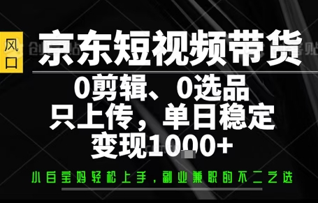 你出账号，我来运营，保底日入1k+，开启躺賺模式【揭秘】-创新社-资源网-最新项目分享网站