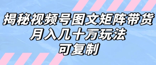 解密视频号图文矩阵带货，月入几个W的打法，可复制-创新社-资源网-最新项目分享网站