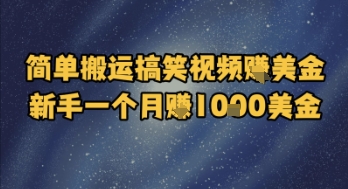 简单搬运搞笑视频挣美金，新手一个月入1k美金-创新社-资源网-最新项目分享网站