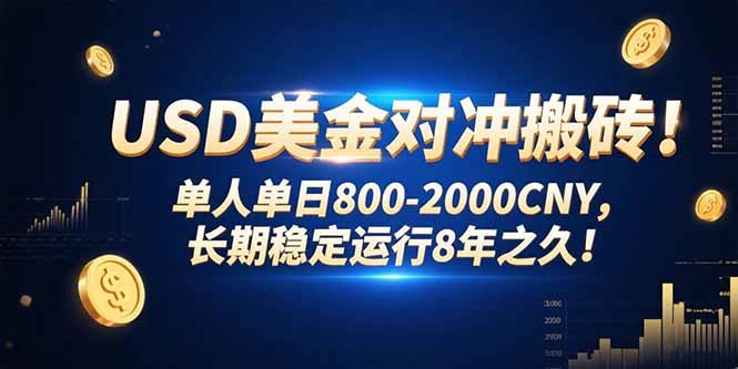 USD美金对冲搬砖!单人单日800-2000CNY，长期稳定运行8年之久!-创新社-资源网-最新项目分享网站